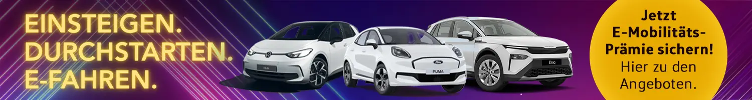 Bannergrafik zur E-Förderung